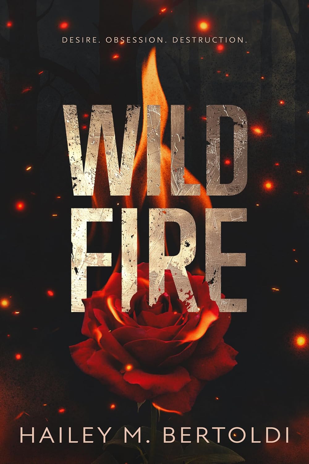 Romantic Suspense Book Box - Wildfire