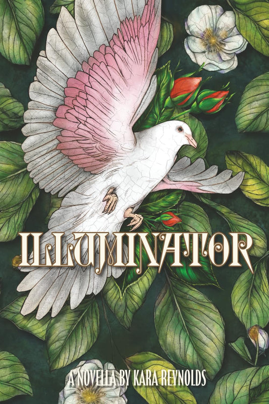 Illuminator- Signed Paperback