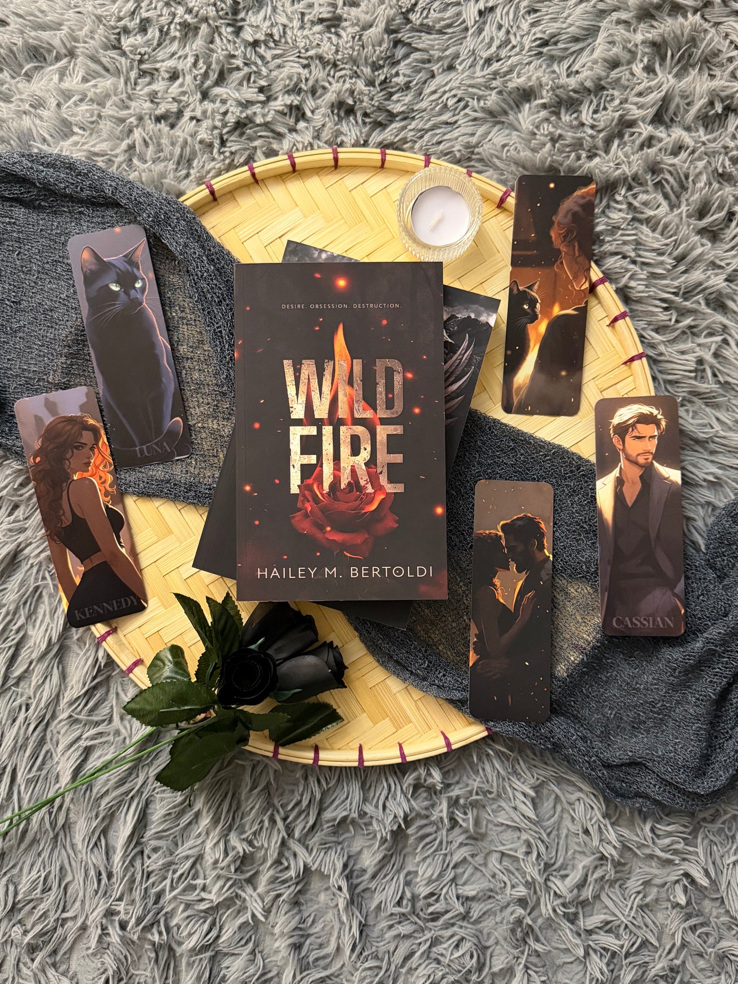 Wildfire - With 5 Bookmarks! Romantic Suspense